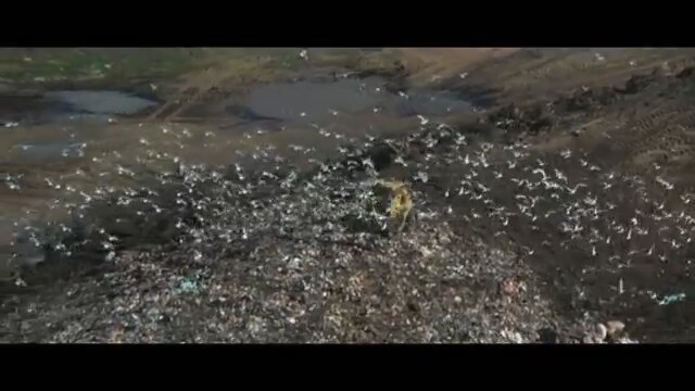 Jonathan Livingston Seagull Fragman